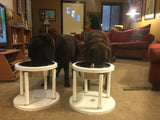 Perfect Fit Feeder Set (2 Perfect Fit Feeders & 2 Stainless Steel Bowls)